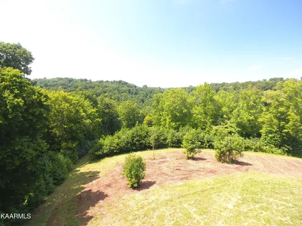 2765 Oak Grove Rd, Lake City, TN 37769