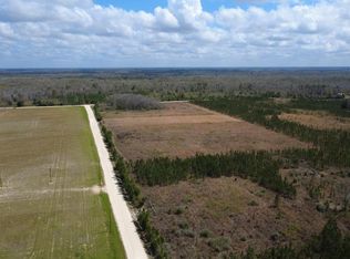 40 SE Davis Peacock Rd, Wewahitchka, FL 32449