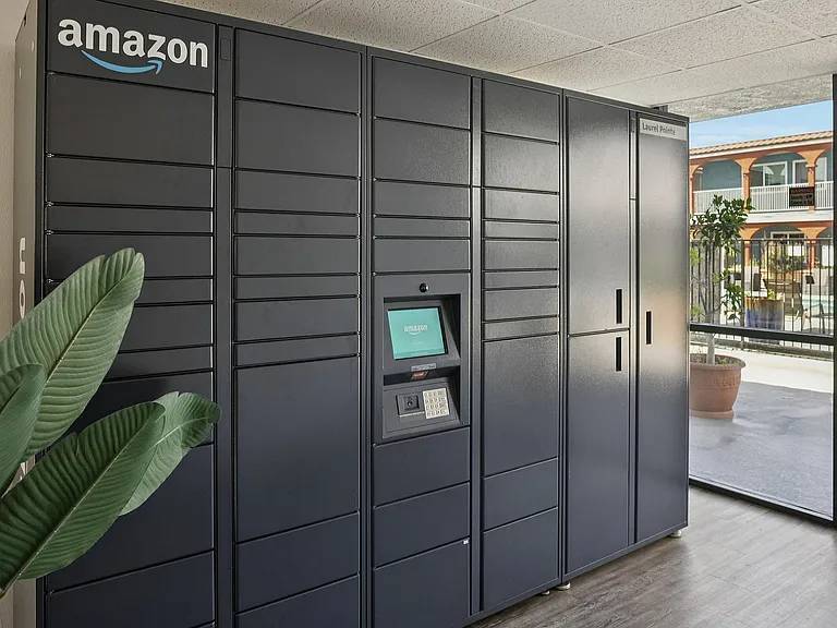 Amazon Hub