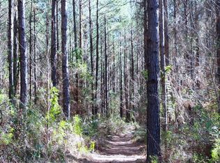 62 Ac Oak Grove Rd, Meadville, MS 39653