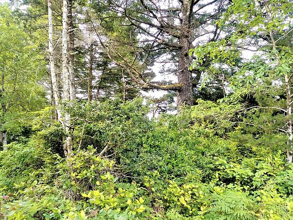 5th image of 1005 NW Salal Dr