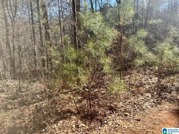 0 Luna Way #49, Alpine, AL 35014