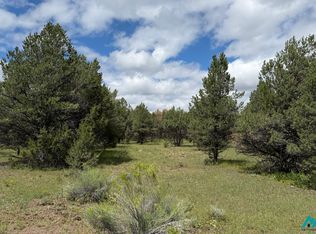 85 Largo Canyon Loop #3, Quemado, NM 87829