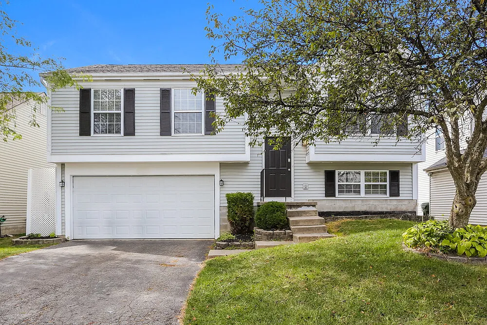 3 bed, 2.0 bath, 1558 sqft, $3,120 — Photo 4