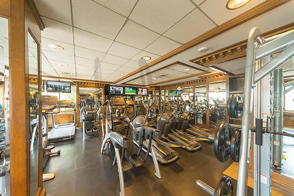 Rented by Platinum Properties | media 11