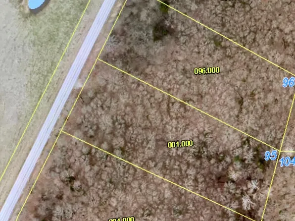 Lot 95 State Hwy 173, Cape Fair, MO 65624