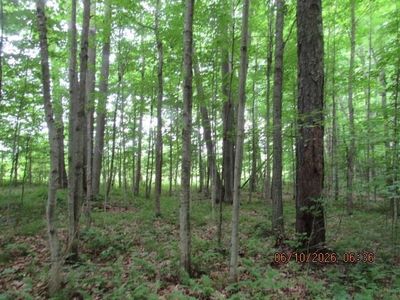 LOT 3 Anderson Rd, Potsdam NY - Owner Finance Home
