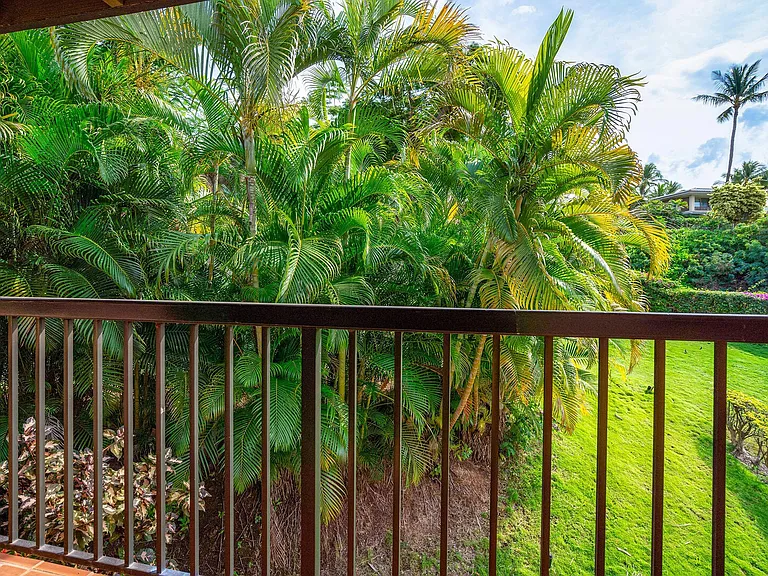 Wailea Alanui Dr — Photo 22