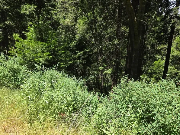 987 Cedar Pines Dr, Cedarpines Park, CA 92322