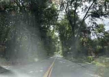 Exterior Neighborhood (street photo)