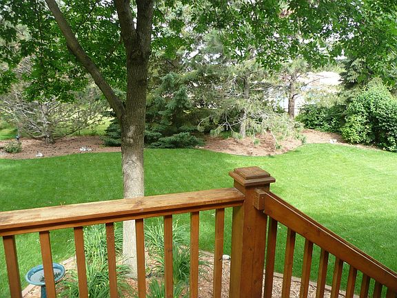 View from deck to back yard