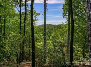 Tbd Diamond Creek Rd, Lake Toxaway, NC 28747