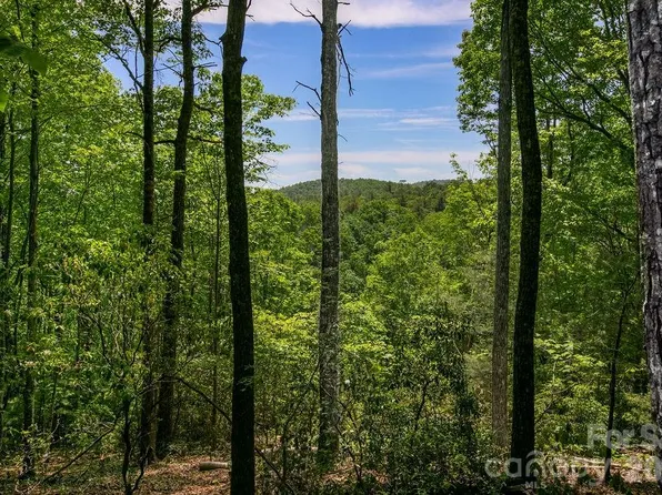 Tbd Diamond Creek Rd, Lake Toxaway, NC 28747