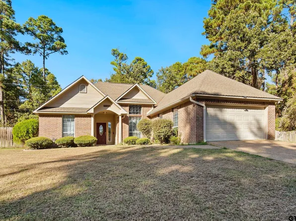 16968 Mary Martin Dr, Flint, TX 75762