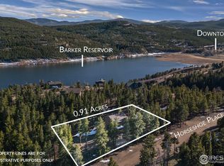 477 Horseshoe Pl, Nederland, CO 80466