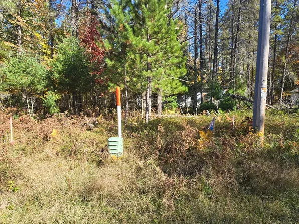 4042 Hibanks Rd, Conover, WI 54519