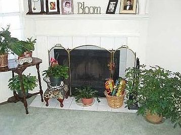 5th image of 6140 Chablis Ln