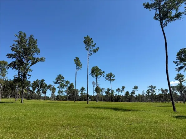 Dr 5 24ac NW #193, Micanopy, FL 32667