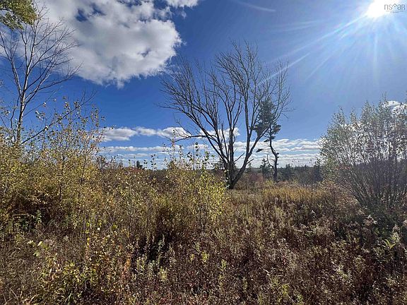 5th image of 5896 Highway 8