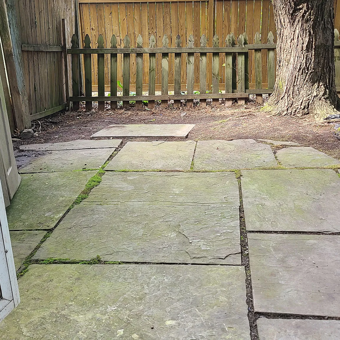 7925 Central Park Cir — Photo 3