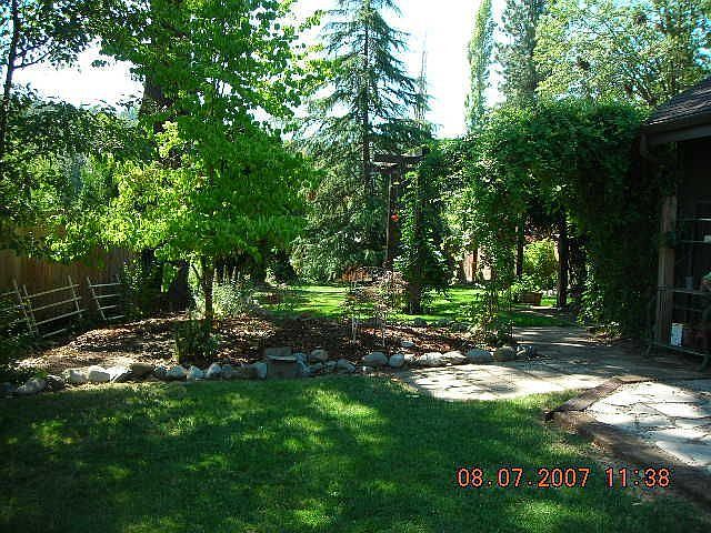 Park-like yard