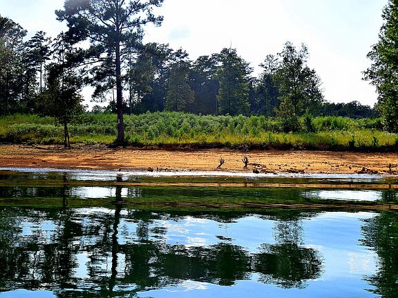 4th image of LOT 103 County Road 3078 Lot 103