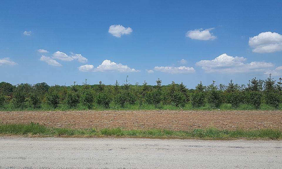 View from lot across street 