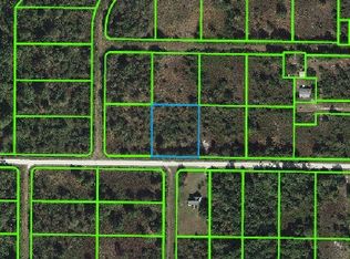 3000 W Shula Rd, Avon Park, FL 33825