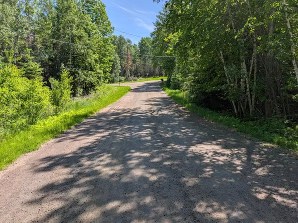 Town Rd #492, International Falls, MN 56649