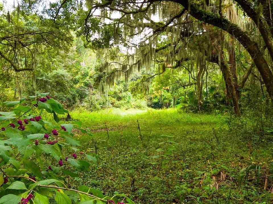 2nd image of 4000B Moultrie Foreside Blvd