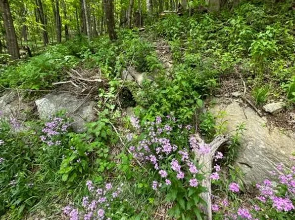 Highlands Parkway Mouth, Independence, VA 24348