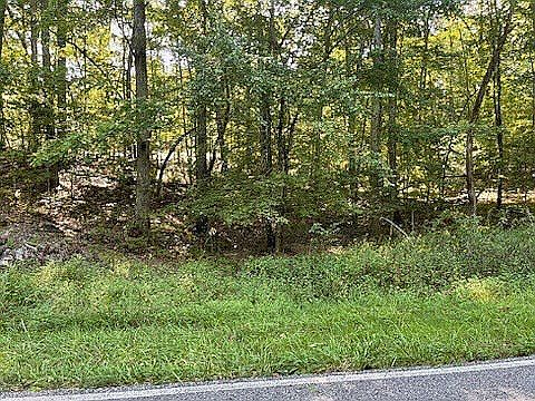 2nd image of 136 Ivy Brook Ln
