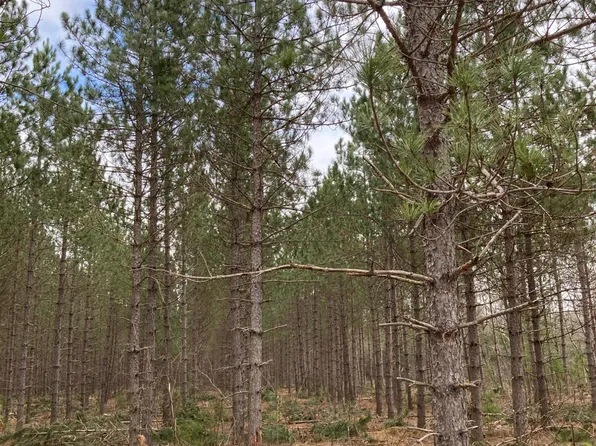 Near Lee Rd, Tomahawk, WI 54487