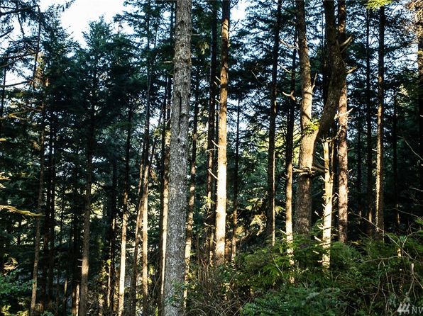 Copalis Crossing Real Estate Copalis Crossing Wa Homes For Sale Zillow