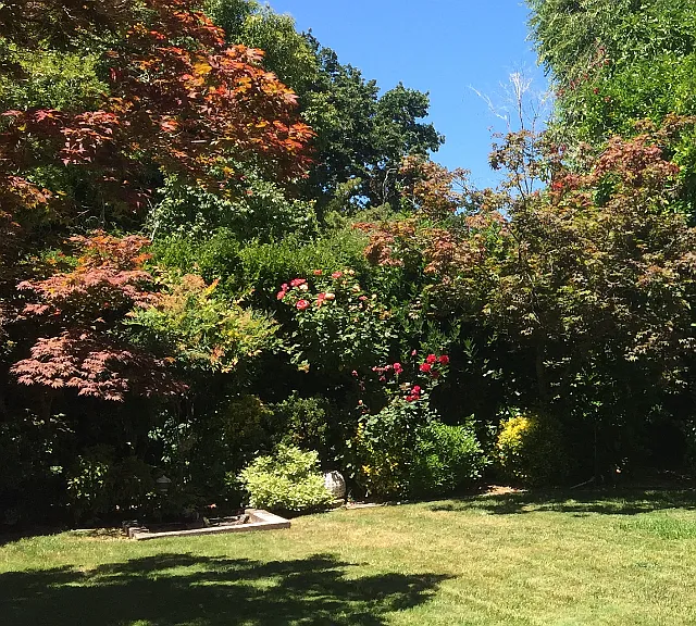 15 Sage Ct — Photo 13