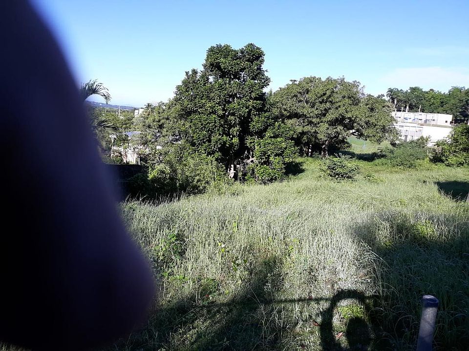 1st image of 243 Blanca Chico St