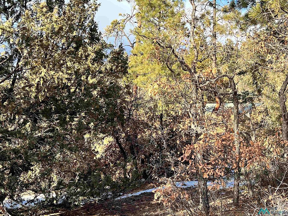 2nd image of 1781 Road