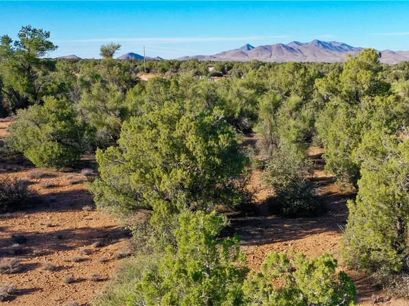 PARCEL 77 E Old Highway 93, Kingman, AZ 86401