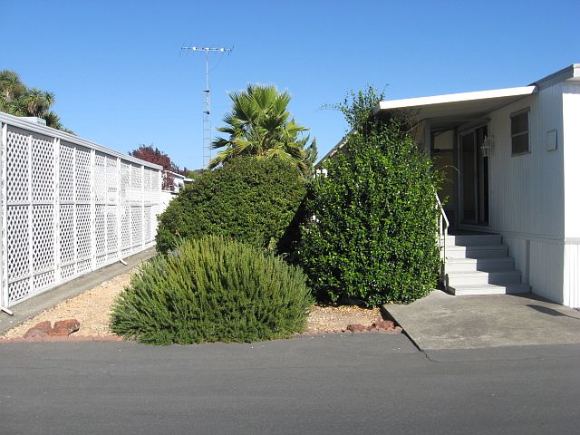 Left front view of yard