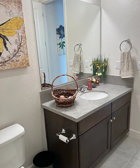 Guest bathroom view 2