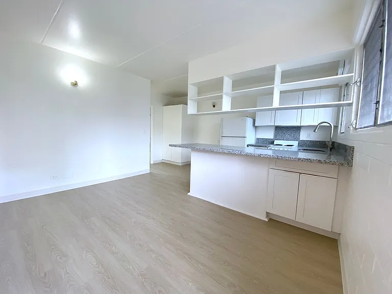 1660 Piikoi St — Photo 4