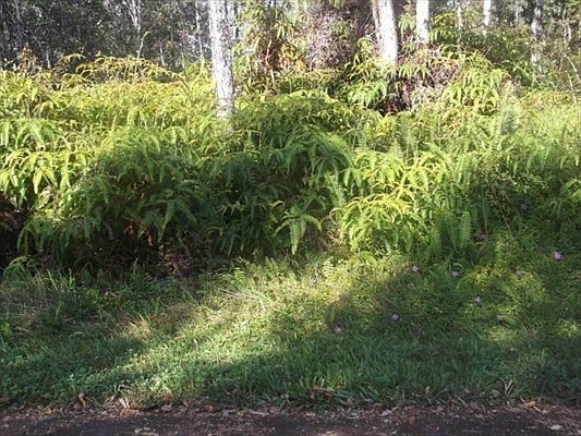2nd image of Kapuna Rd