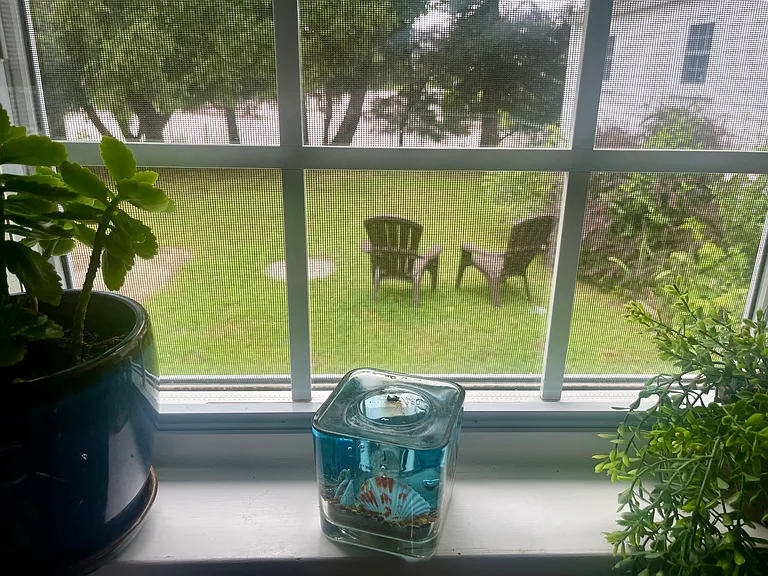 view to the small yard.
