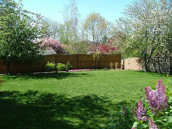 Back yard