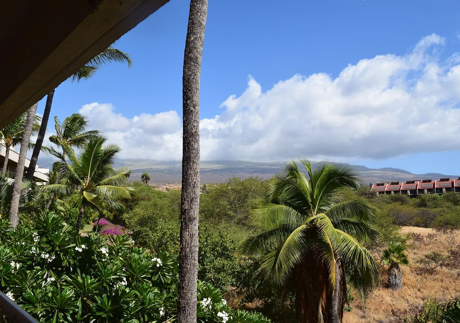 Maui Banyan 1 bd 2 bath furnished unit available February 1, 2026 for 1 yr. term. — Photo 2