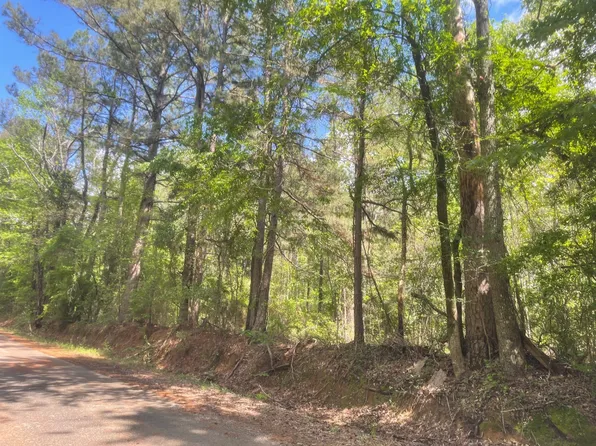 0 Jones Rd, Coushatta, LA 71019