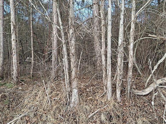 2nd image of Ballash Rd