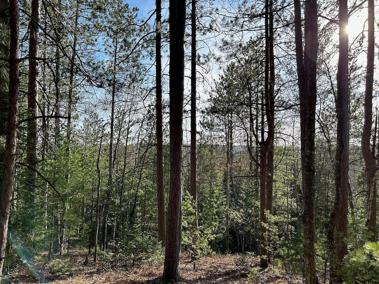 Scott Trl, Wolverine, MI 49799 Zillow