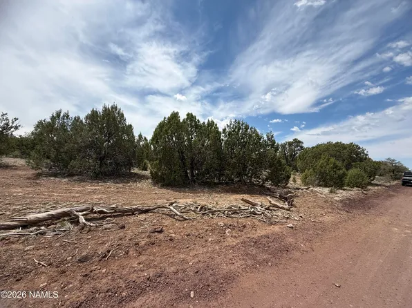 732 E Sidewinder Rd, Williams, AZ 86046