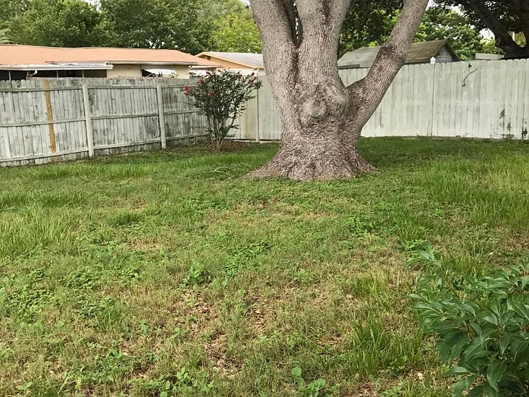 Fenced yard